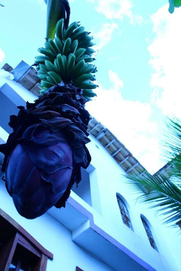 Hostel Divinopolis Hostel *